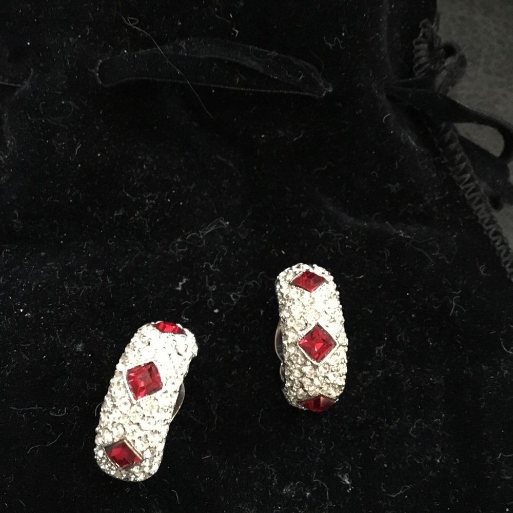 Gorgeous Ciro earrings!